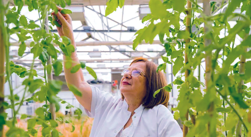 ChanRaquel cientifica Conicet 19mayo2026