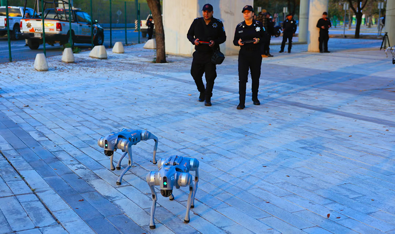 Mexico policia perros robots seguridad 12mayo2026