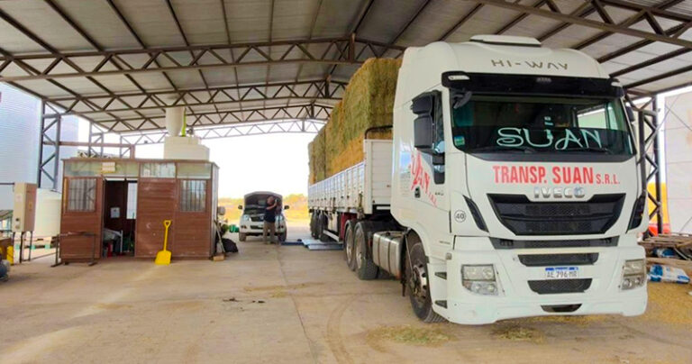 Alfalfa fardos 25deMayo camion 8mayo2026