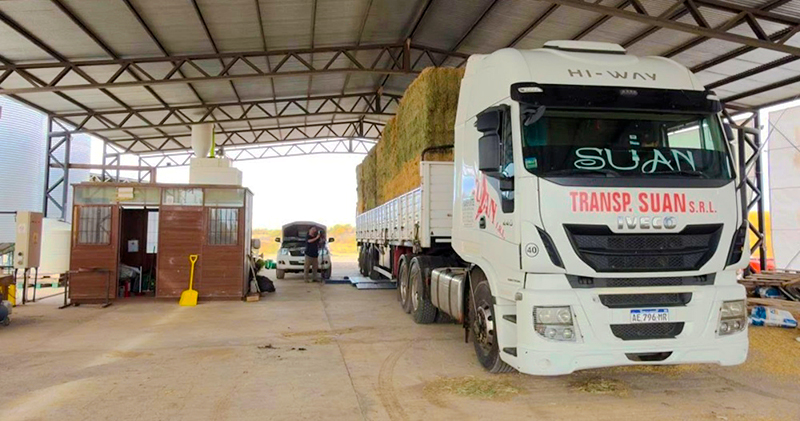 Alfalfa fardos 25deMayo camion 8mayo2026