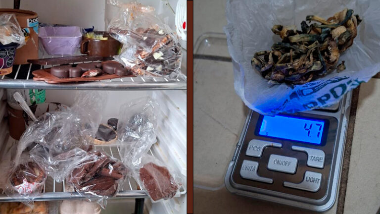 Allanamiento droga brownies alfajores alucinogenos SantaRosa 5mayo2026
