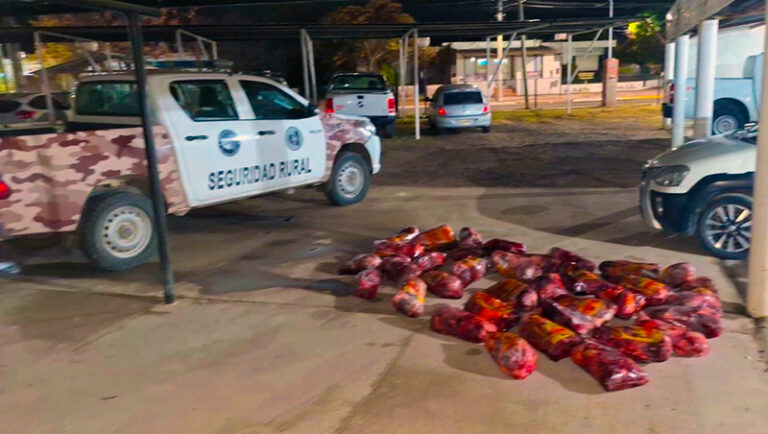 Carne equinos secuestro PuenteDique 25deMayo 30mayo2026