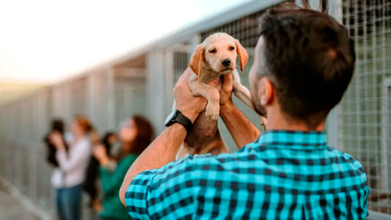 Mascota hombre perro 11mayo2026