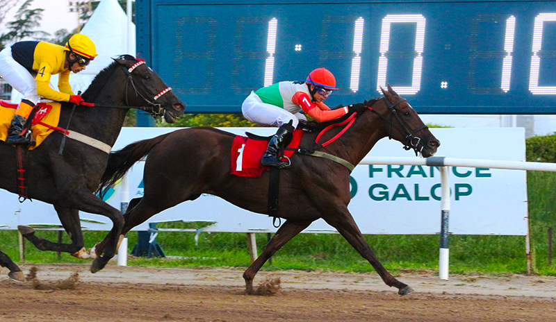 Turf hipodromo llegada 12mayo2026