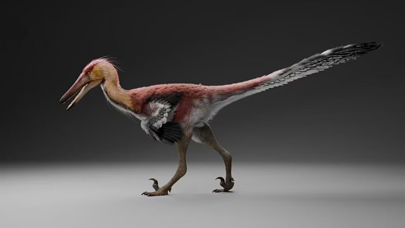 Dinosaurio Raptor hallazgo SantaCruz 2junio2026